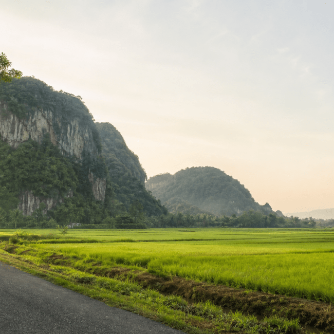 Limestone hills and paddy fields in Perlis, Malaysia